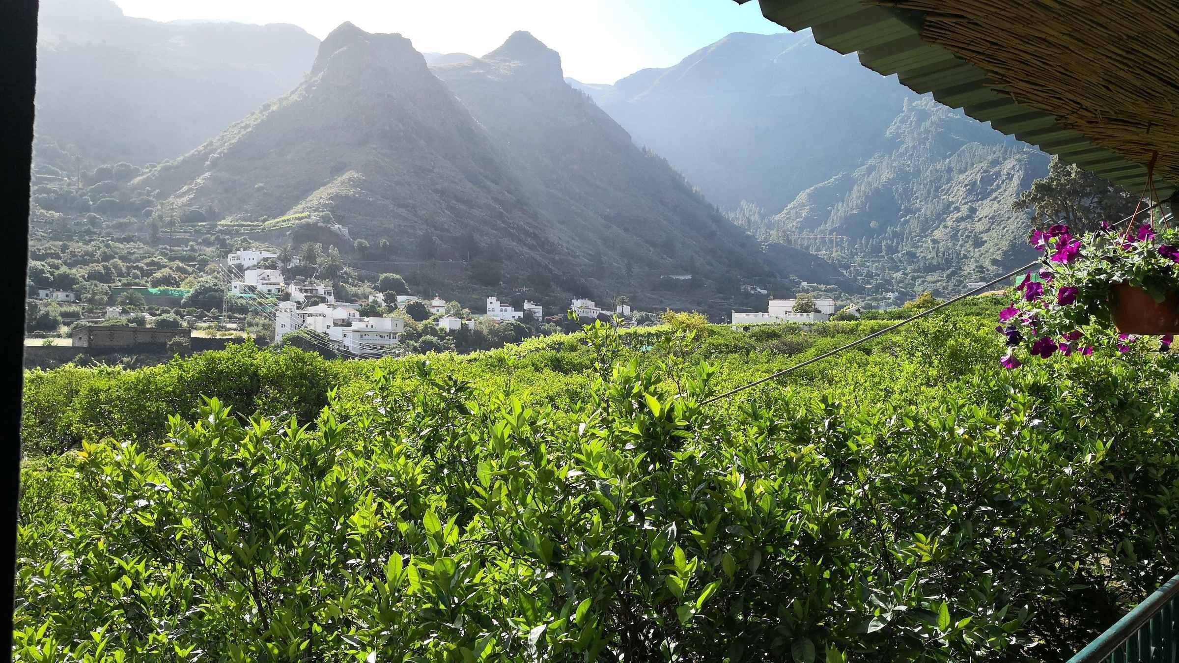 Gran Canaria: Grand Island Tour by Bus with Transfers