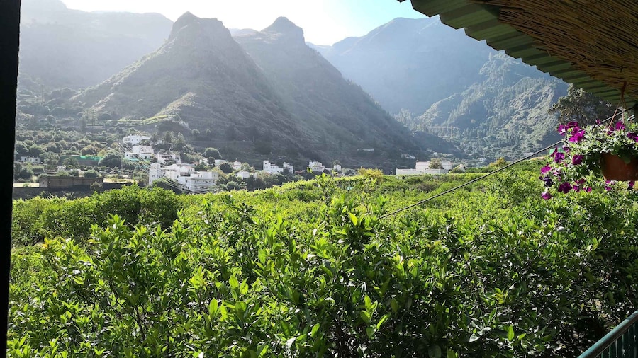 Gran Canaria: Grand Island Tour by Bus with Transfers