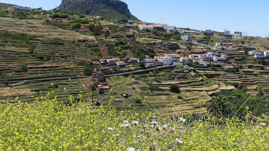 La Gomera: Guided Hiking Tours from Valle Gran Rey