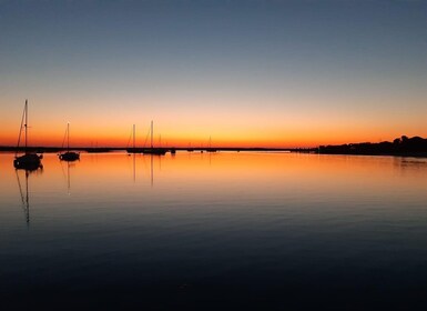 Faro: Ria Formosa Sunset Boat Tour