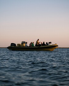 Faro: Ria Formosa Sunset Nature Boat Tour