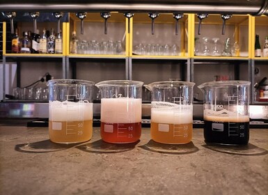 Craft Beer Tasting and tapas in Valencia