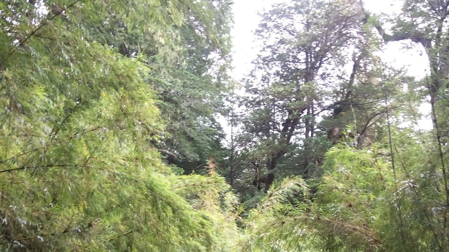 Huerquehue National Park full day