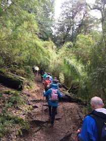 Huerquehue National Park full day