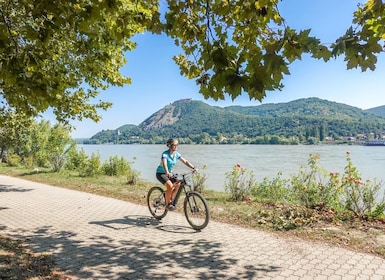 E-Mountain Bike Adventure in the Danube Bend