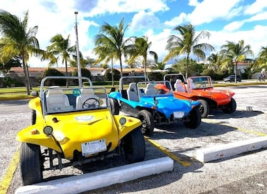 Cozumel: Classic Jeep or Buggy Island Tour to Punta Sur