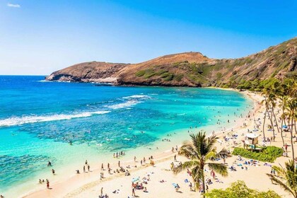 Private Pearl Harbor & Oahu Island Tour