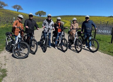 Santa Barbara: E-bike wine tour w/ transport, tasting, lunch