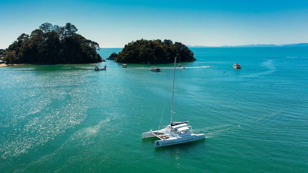 Abel Tasman National Park: Cruise, Walk & Sailing Tour
