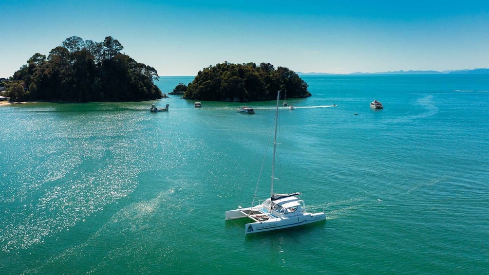 Abel Tasman National Park: Cruise, Walk & Sailing Tour