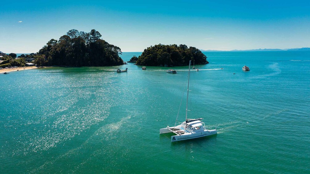 Abel Tasman National Park: Cruise, Walk & Sailing Tour