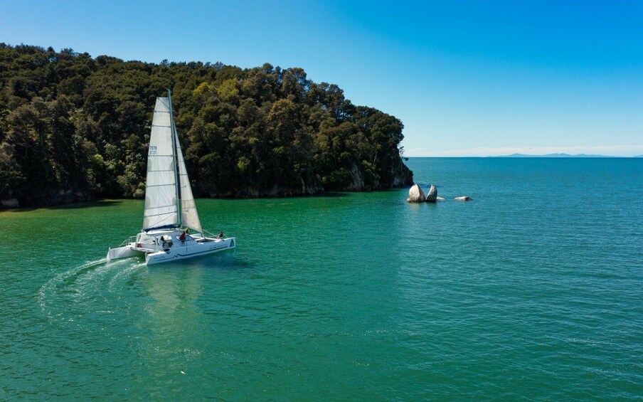 Picture 8 for Activity Abel Tasman National Park: Cruise, Walk & Sailing Tour