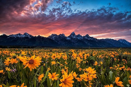 Grand Teton: Private Guided Tour (Sunset)