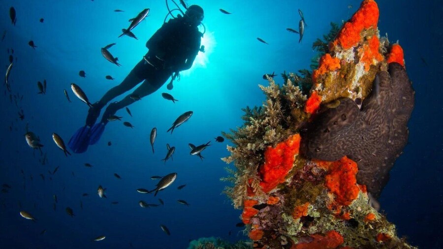 Scuba diving for beginners in crystal clear sea of Halkidiki