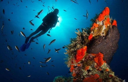Scuba diving for beginners in crystal clear sea of Halkidiki