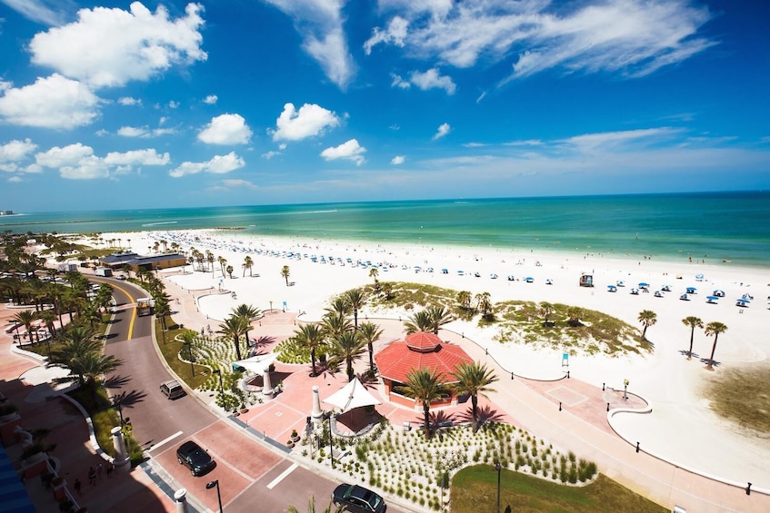 Orlando to Mexico Gulf, Dolphin Watch and Clearwater Beach Small Group Tour
