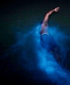 Falmouth: Luminous Lagoon Night Experience