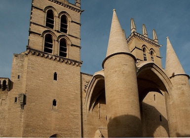 Montpellier - Private Historic Walking tour