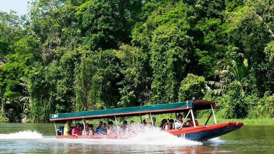 Tour to Tortuguero National Park and jungle cruise