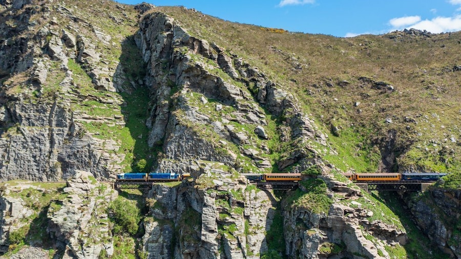 Dunedin Shore Excursion: Taieri Gorge Train & Dunedin City Sightseeing