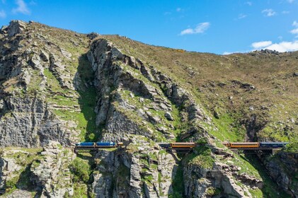 Dunedin Shore Excursion: Taieri Gorge Train & Dunedin City Sightseeing