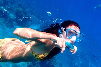 Ixtapa: Horseback Riding & Snorkelling