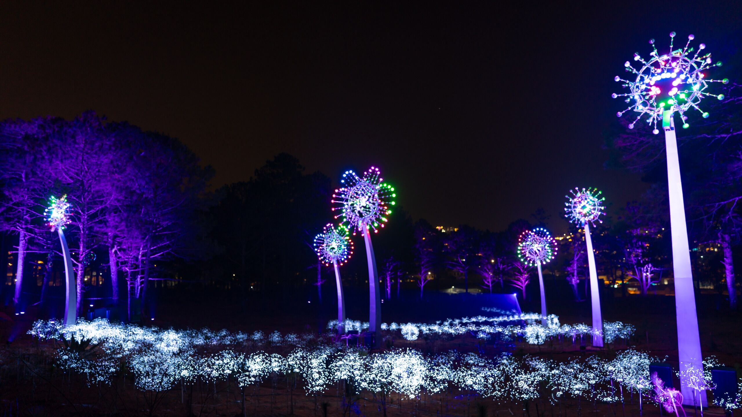 Vietnam: Delight Park Dalat