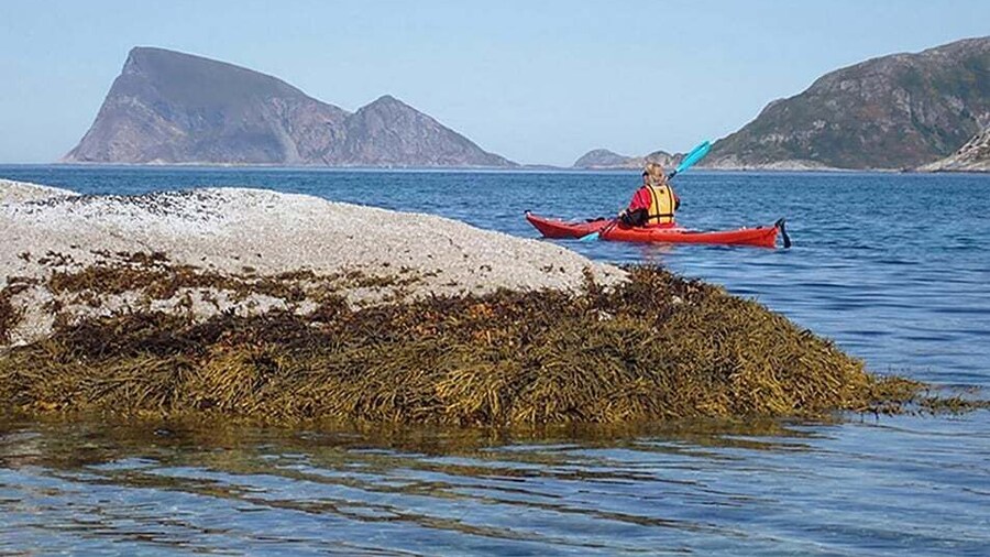 From Tromsø: Sea Kayaking Tour at Sommarøy with Transfer