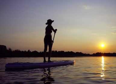 Berlin: Sunset SUP Tour on the Havel River