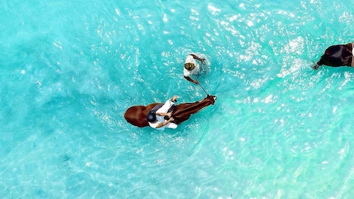 Mauritius: Horse riding on the beach