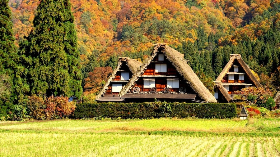 From Nagoya: Takayama & Shirakawa-go Day Trip with Hida Pork Lunch