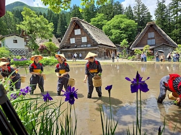 Nagoya: Dagstur til Takayama og Shirakawa-go med frokost med Hida-svinekød