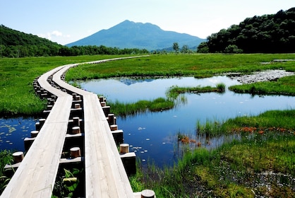 Tokyo: Oze Marshland Hiking Day Trip via Hatomachi Pass
