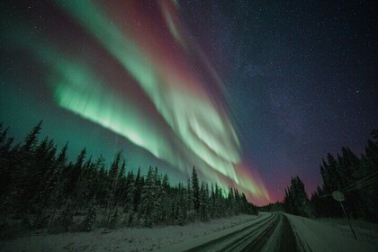 Rovaniemi : Excursión familiar en aurora boreal en autobús con fotos