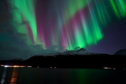 Tromso Noorderlicht Tour met professionele fotograaf