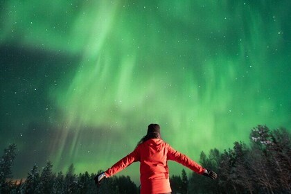 Restauranter i nærheten av Guaranteed Northern Lights Tour