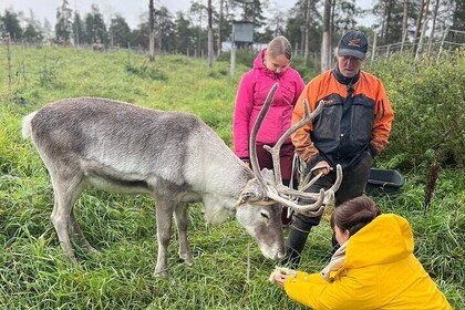 Kittila Lapland Noordpoolavontuur