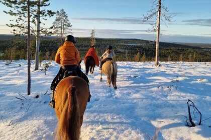 Horse ride to the snowy hill