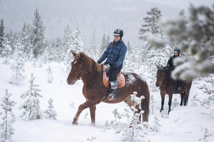 Horse ride to the snowy hill