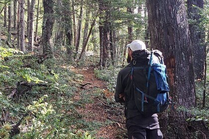 Lago Puelo Day Hike in the Andean Forest