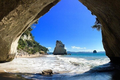 奥克兰 - 科罗曼德尔和大教堂湾 – 午餐一日游