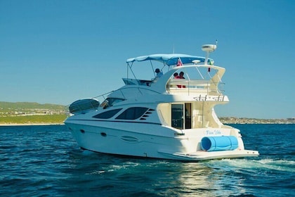 Pura Vida Yacht 42 FT with all-inclusive service in Cabo