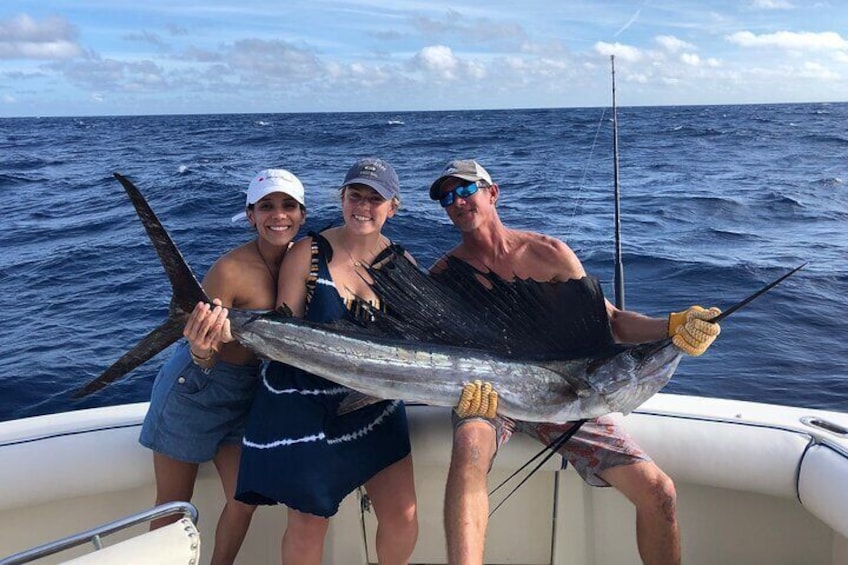 Great Sailfish action using light tackle and live bait