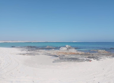 Mirbat: Snorkelling Adventure with Kheva Wreck