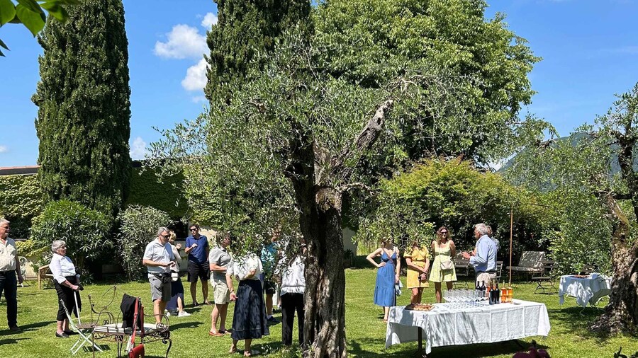 San Felice del Benaco: Vineyard Tour with Wine Tasting