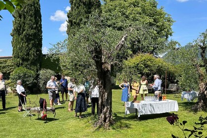 San Felice del Benaco: Vineyard Tour with Wine Tasting