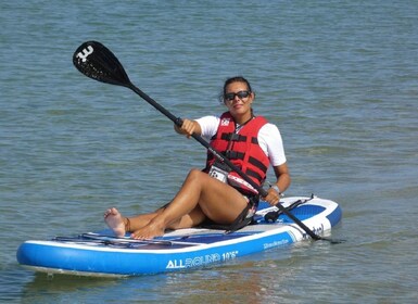 Faro: Full Day Private Charter at The Ria Formosa