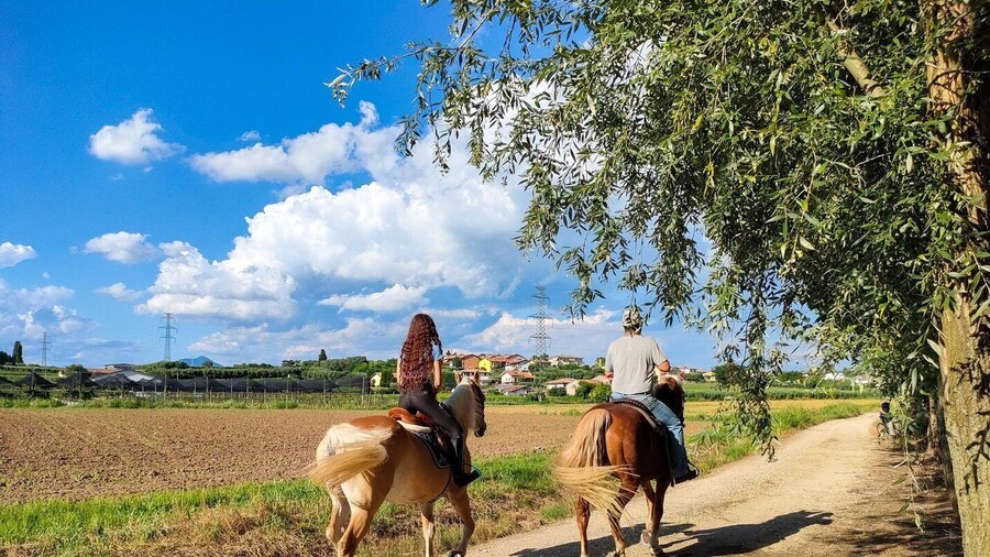 Lazise: Horseback Riding and Farm Picnic local food
