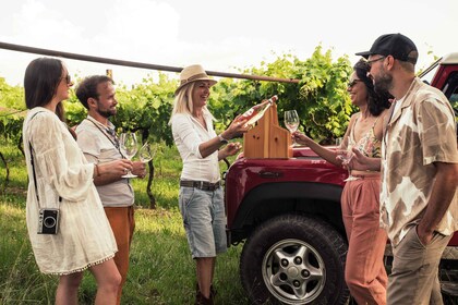 Lake Garda: Private 4x4 Vineyard Tour with Wine Tasting