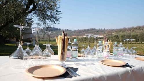 Bardolino: wine and food tasting on lake Garda Hills
